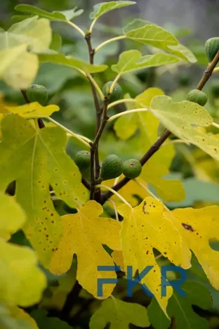 Prodej rodinného domu, Psáry, V Domkách, 114 m2