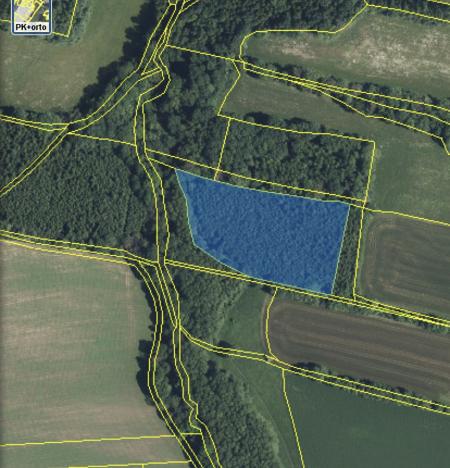 Prodej lesa, Lánov - Horní Lánov, 15996 m2