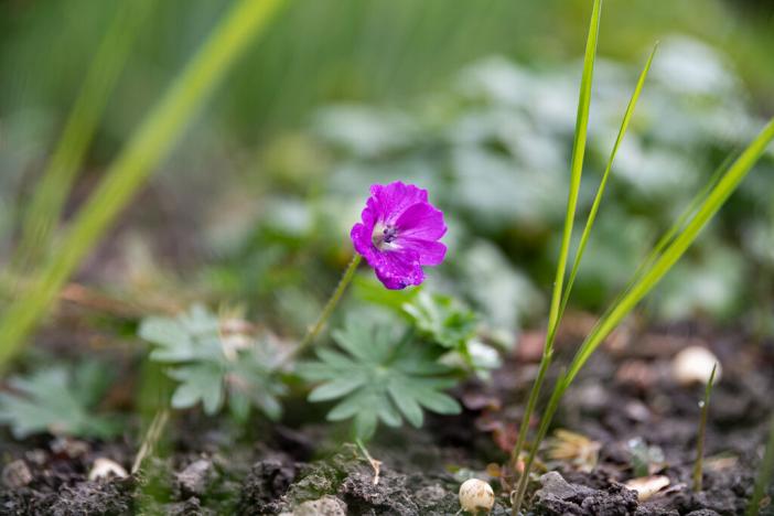 Prodej bytu 3+1, Petřvald, Nová, 63 m2