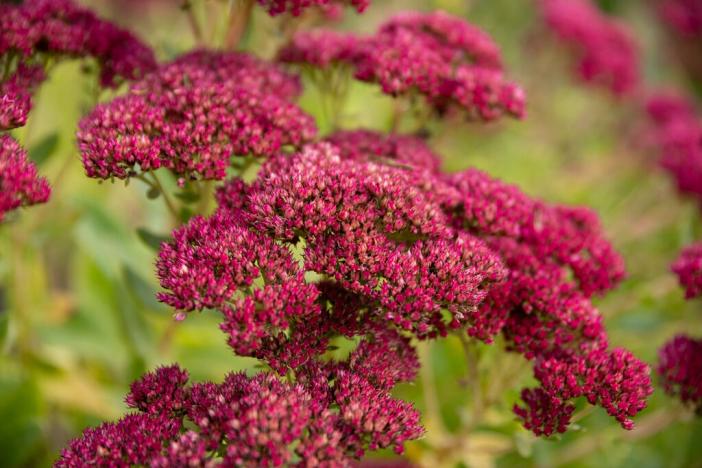 Prodej bytu 3+1, Petřvald, Nová, 63 m2