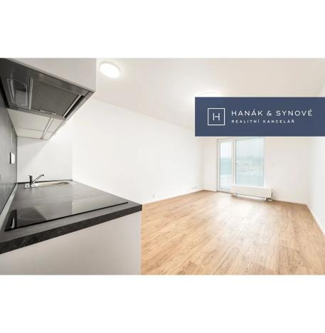 Pronájem bytu 1+kk, Brno, Chaloupkova, 30 m2