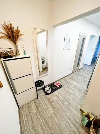 Pronájem bytu 2+1, Valašské Meziříčí, Křižná, 56 m2