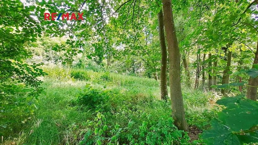 Prodej komerčního pozemku, Říčany, 4529 m2