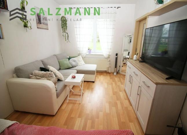 Pronájem bytu 1+1, Plzeň, U Dráhy, 39 m2