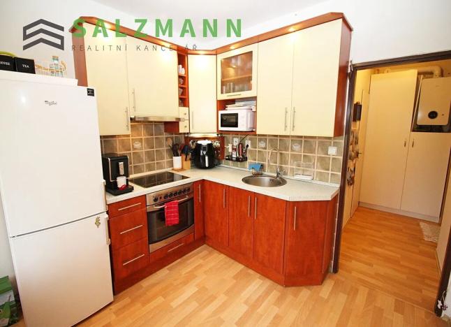 Pronájem bytu 1+1, Plzeň, U Dráhy, 39 m2