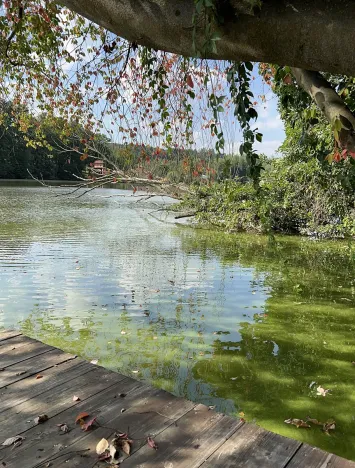 Prodej rodinného domu, Hrusice, K Penzionu, 360 m2