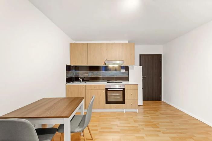 Pronájem bytu 1+kk, Praha - Michle, Michelská, 25 m2