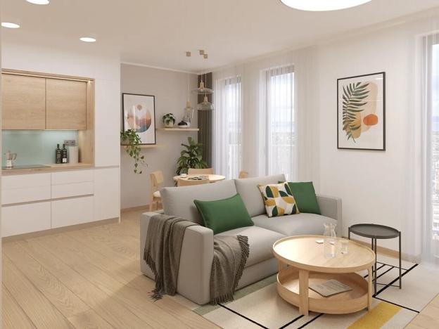 Prodej bytu 2+kk, Brno, Řípská, 63 m2