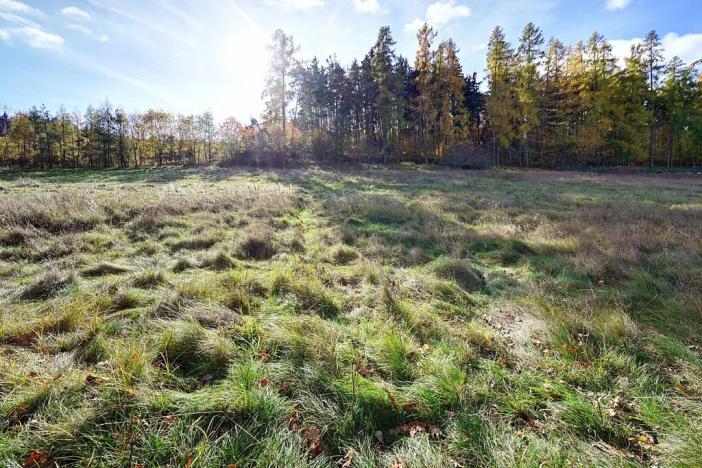 Prodej pozemku pro bydlení, Daleké Dušníky, 1217 m2