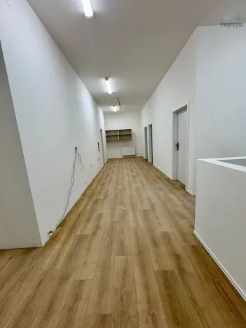 Pronájem ubytování, Brno, Štefánikova, 300 m2