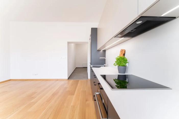 Pronájem bytu 2+kk, Praha - Žižkov, Jeronýmova, 61 m2