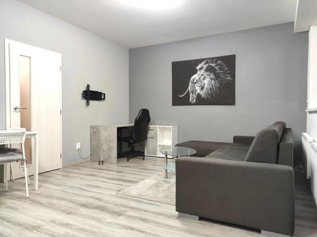 Pronájem bytu 1+kk, Brno, Rumiště, 35 m2