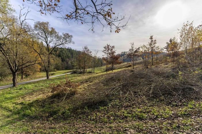 Prodej pozemku, Všechlapy, 774 m2