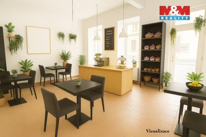 Prodej rodinného domu, Písek - Budějovické Předměstí, Tyršova, 315 m2