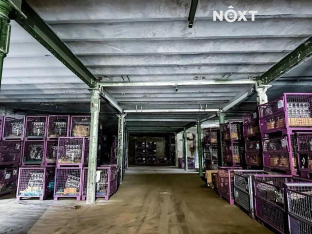 Pronájem skladu, Dětřichov, 6890 m2