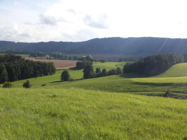 Dražba louky, Dolní Dobrouč, 71151 m2