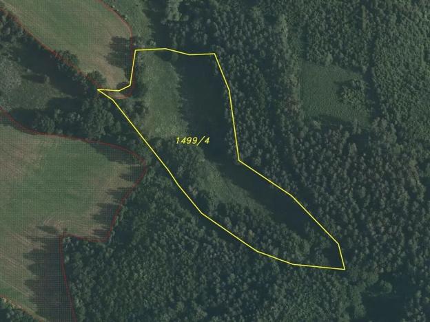 Dražba louky, Dolní Dobrouč, 71151 m2