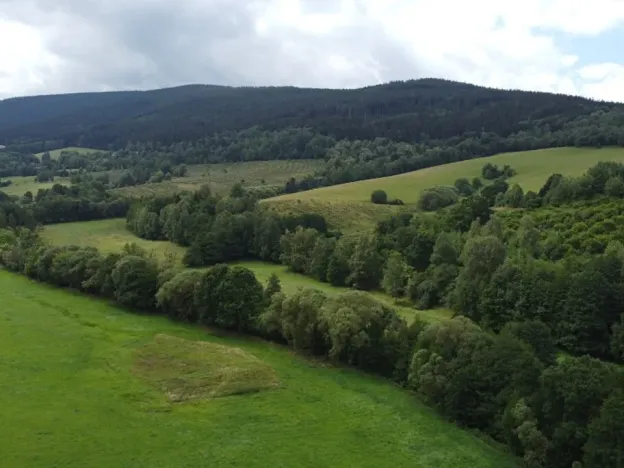 Dražba louky, Dešenice, 67850 m2