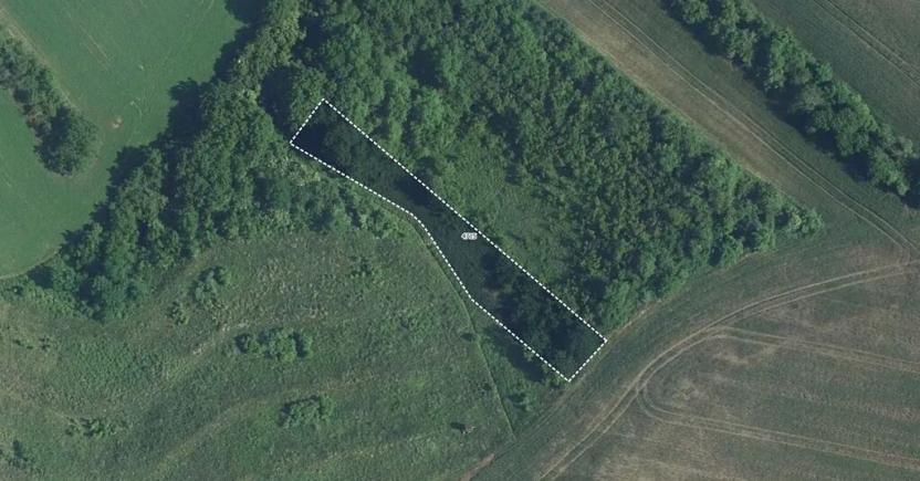 Prodej pole, Starovičky, 1914 m2