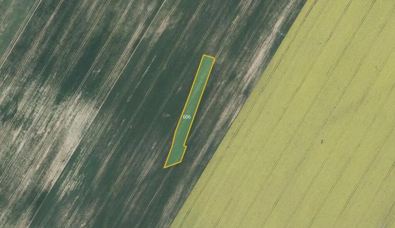 Prodej pole, Vyklantice, 7316 m2