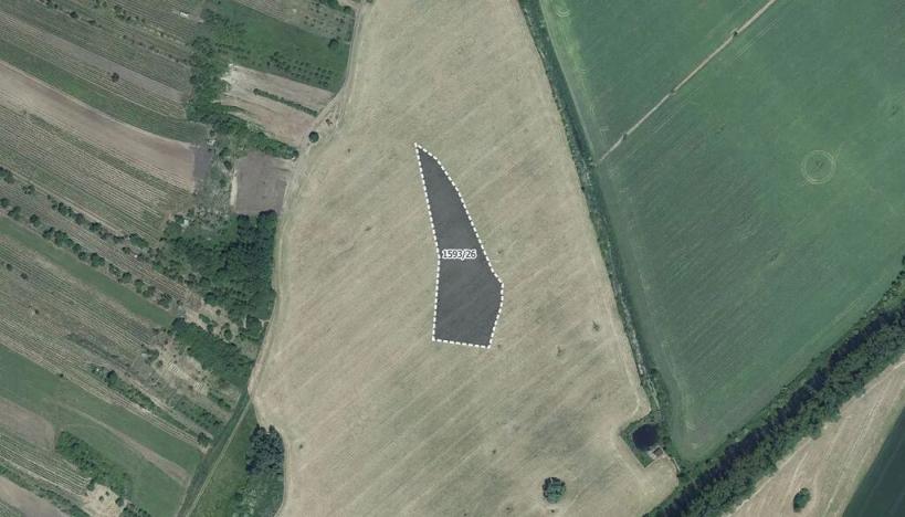 Prodej pole, Týnec, 11459 m2