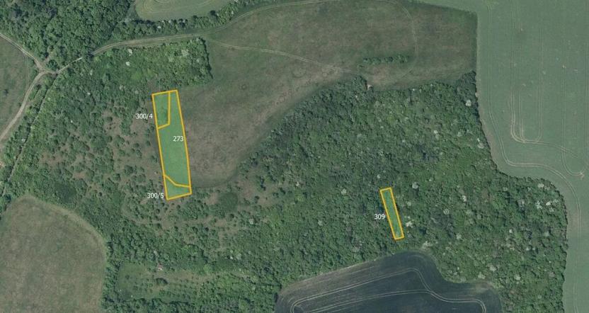 Prodej pole, Děčany, 78982 m2