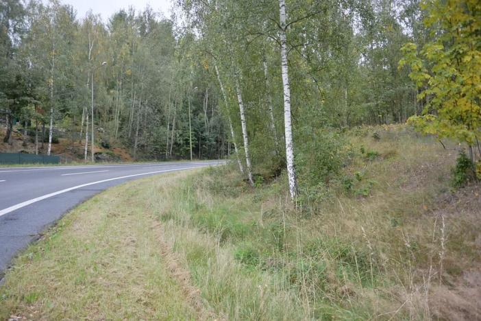 Prodej zahrady, Liberec, 1233 m2