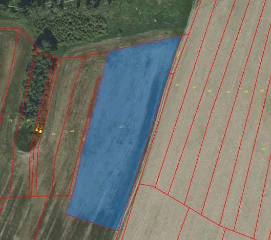 Prodej pole, Radošovice, 6988 m2