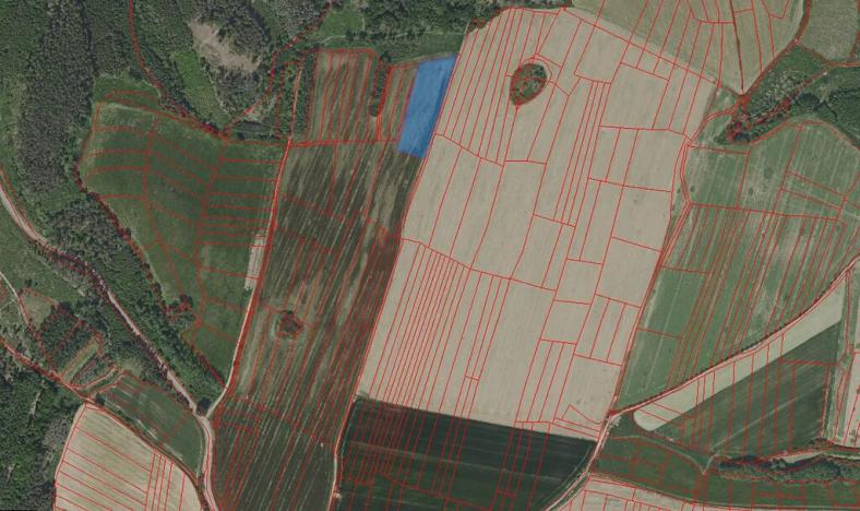 Prodej pole, Radošovice, 6988 m2