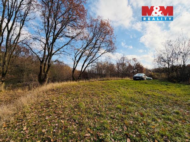 Prodej pole, Šumperk, 5000 m2