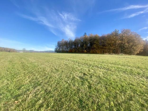 Prodej louky, Mníšek, 33698 m2