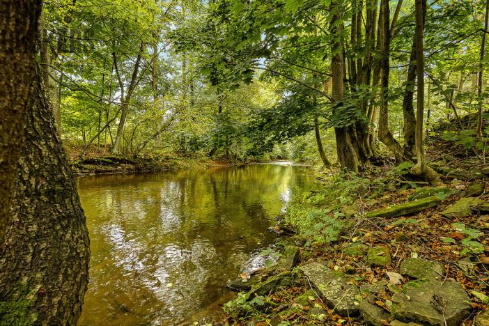 Prodej rodinného domu, Žamberk, U Líšnice, 170 m2