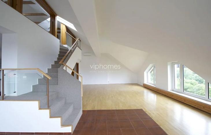 Pronájem bytu 6+kk a větší, Praha - Braník, Psohlavců, 290 m2