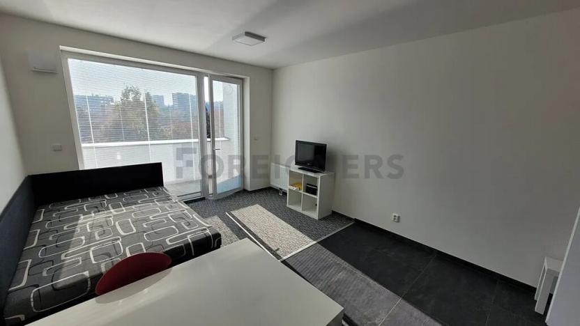 Pronájem bytu 1+kk, Brno, Vídeňská, 33 m2
