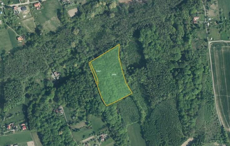 Prodej lesa, Doubrava, 16188 m2