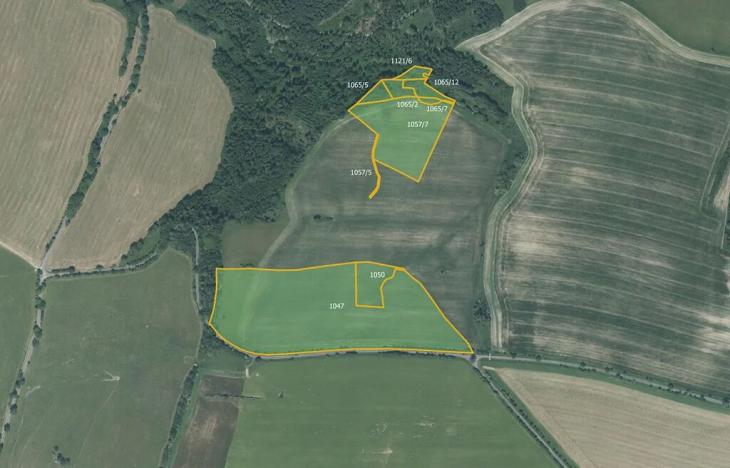 Prodej pole, Nové Lublice, 65386 m2