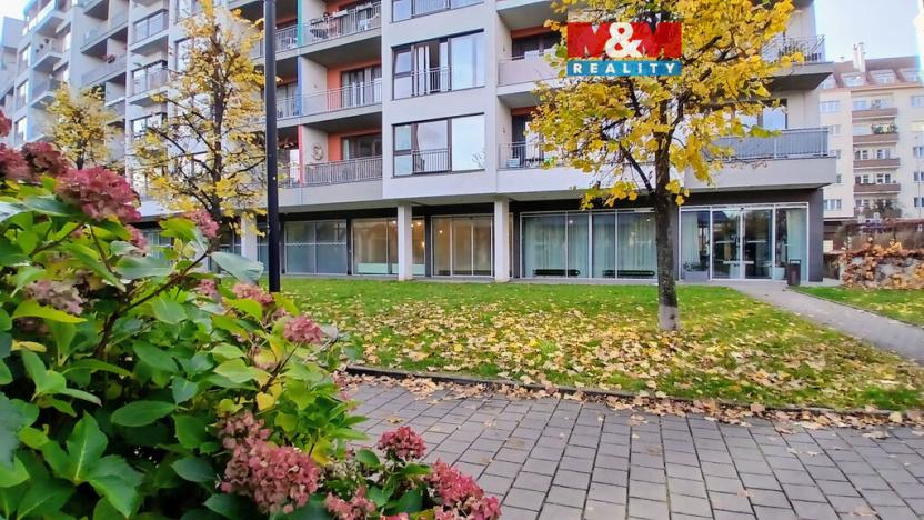 Pronájem kanceláře, Praha, Jankovcova, 58 m2