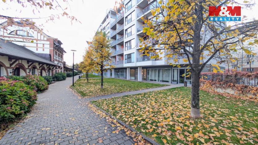 Pronájem kanceláře, Praha, Jankovcova, 58 m2