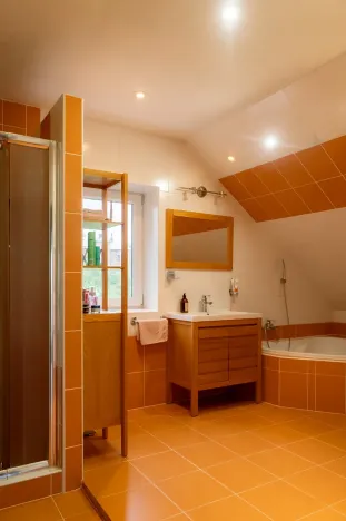 Prodej rodinného domu, Domašov u Šternberka, 550 m2