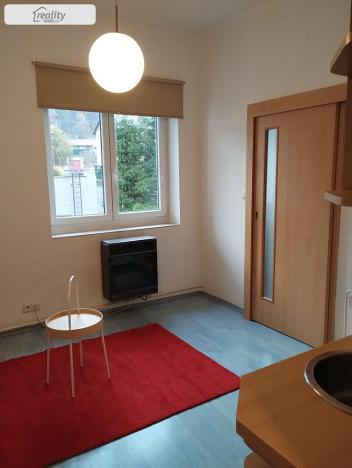 Pronájem bytu 1+1, Velké Březno - Valtířov, 33 m2