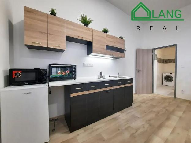 Pronájem bytu 1+kk, Brno, Palackého třída, 33 m2