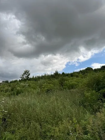 Prodej lesa, Brtnice, 14739 m2