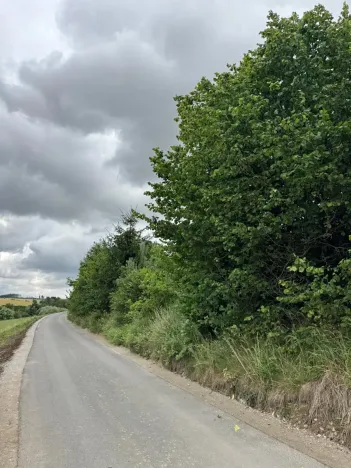 Prodej lesa, Brtnice, 14739 m2