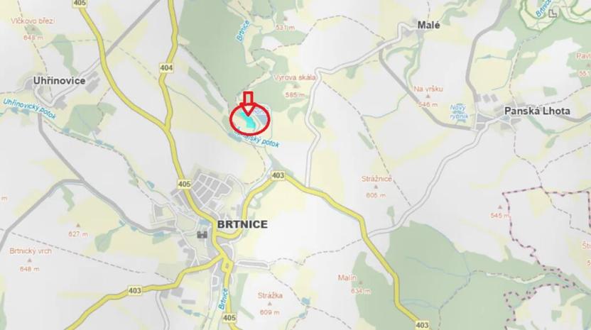 Prodej lesa, Brtnice, 14739 m2