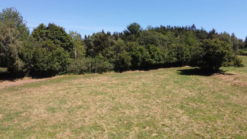 Prodej pole, Strašín, 33901 m2