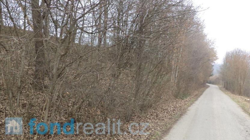 Prodej pole, Zvěstov, 51947 m2