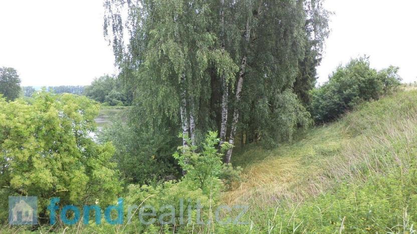 Prodej pozemku, Třebařov, 4992 m2