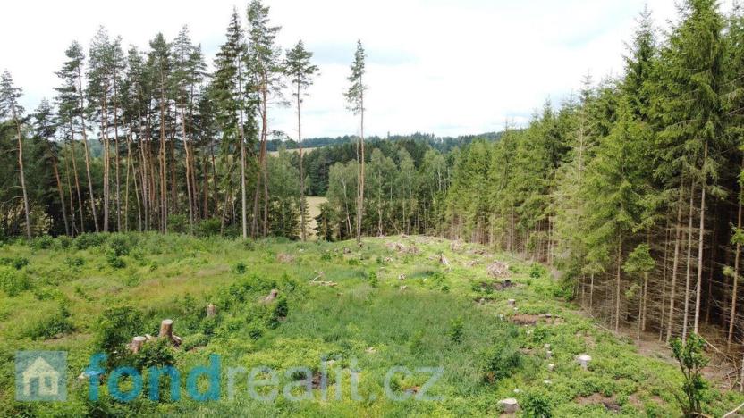 Prodej pozemku, Kunžak, 10789 m2