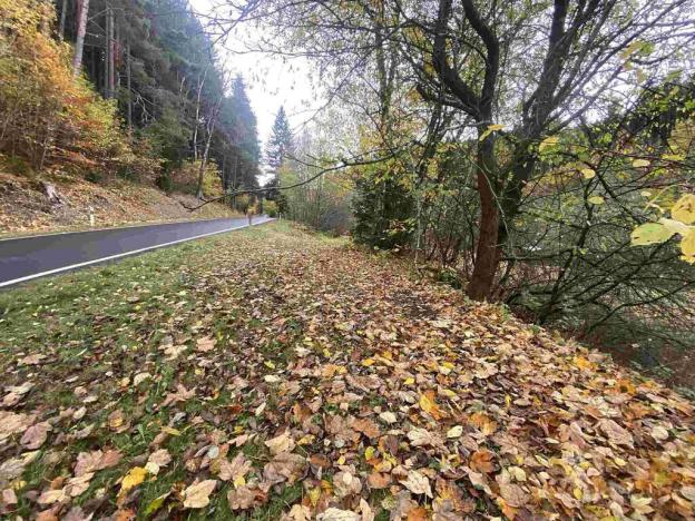 Prodej pozemku, Hartmanice, 2902 m2