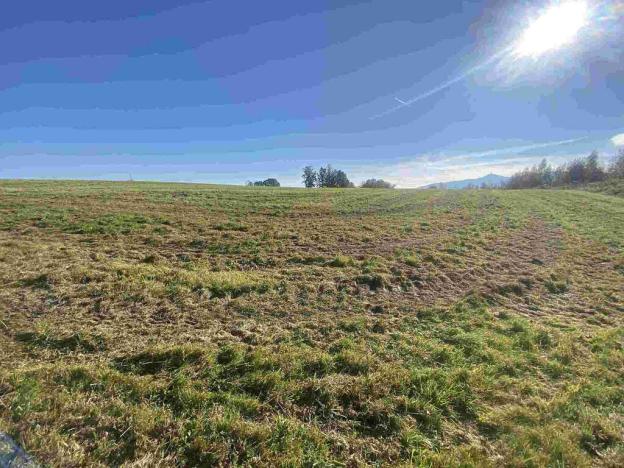 Prodej pole, Stráž nad Nisou - Svárov, 236 m2